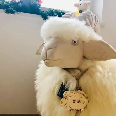 Гостевой дом Nasza Owczarzowka