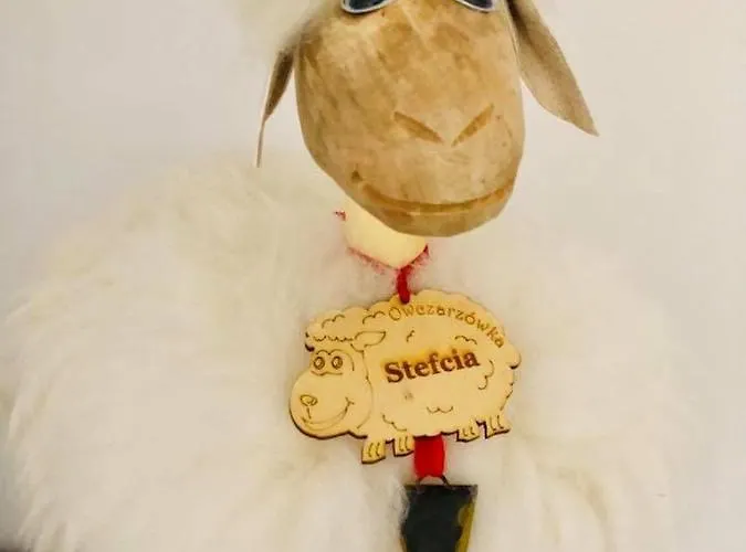 Nasza Owczarzowka מידז'יברודז'י ז'יוויקי