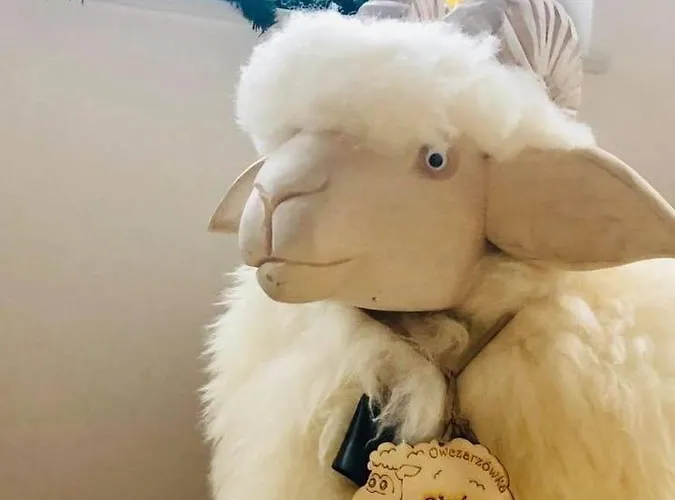 בית הארחה Nasza Owczarzowka